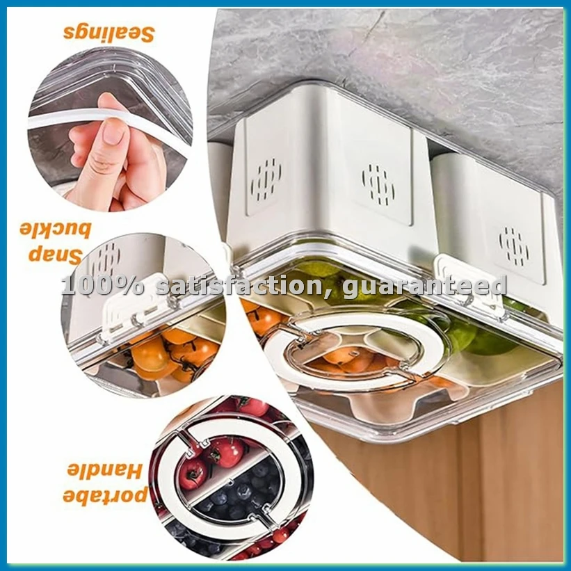 Food Storage Boxes - Fruit Tray for Large Picnic Refrigerator